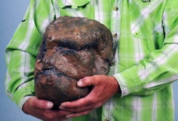 Hoax or real? Bigfoot's fossilized skull from Utah