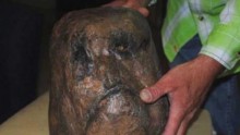 Alleged Bigfoot skull