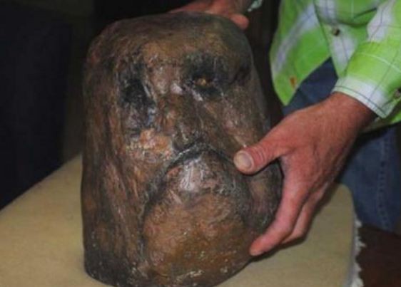 Alleged Bigfoot skull