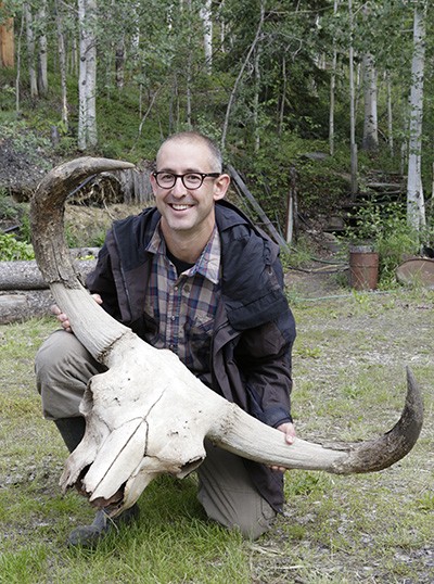 Grant Zazula of the Yukon Paleontology Program with the skull of a Pleistocene steppe bison.