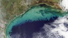 2009 satellite image of the Gulf of Mexico. Much of the dirt that colours the water is likely re-suspended sediment dredged up from the sea floor in shallow waters. The tan-green sediment-coloured water transitions to clearer dark blue water near the edge