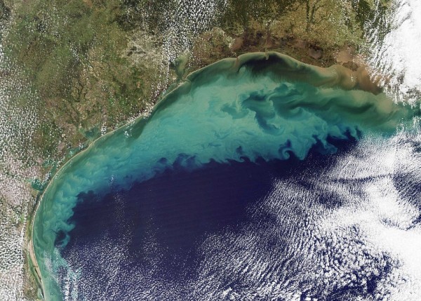 2009 satellite image of the Gulf of Mexico. Much of the dirt that colours the water is likely re-suspended sediment dredged up from the sea floor in shallow waters. The tan-green sediment-coloured water transitions to clearer dark blue water near the edge