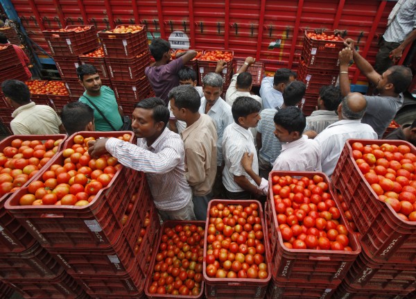 Wholesale Tomatoes for Sale in India