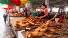 Yulin Annual dog meat Festival
