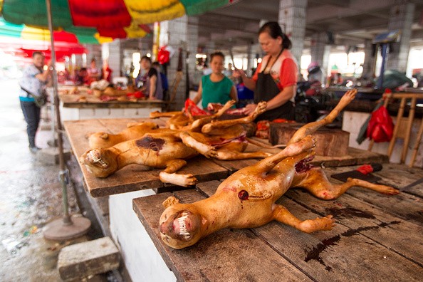 Yulin Annual dog meat Festival