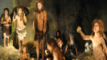   Neanderthals