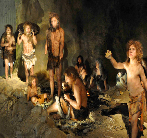   Neanderthals