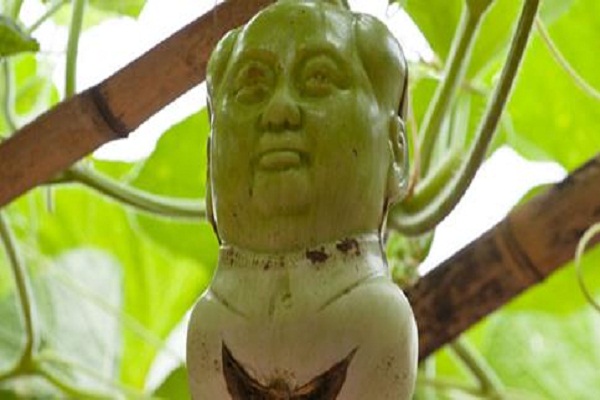 Chairman Mao-Shaped Gourds