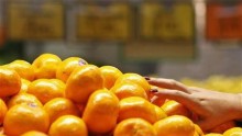 Florida Oranges Face 'Green' Threat