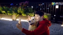 Chinese smartphone giant Vivo dropped its contract with Korean superstar Song Joong Ki due to 