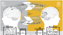 An overiew of the Brain-to-Brain interface