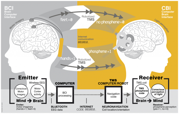 An overiew of the Brain-to-Brain interface