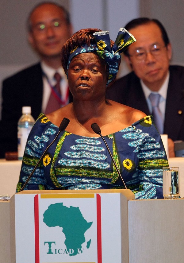 Kenya's Nobel Peace laureate Wangari Maathai attends the Tokyo International Conference on African Development IV