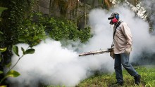 Mosquito control inspector uses a Golden Eagle blower to spray pesticide to kill mosquitos.