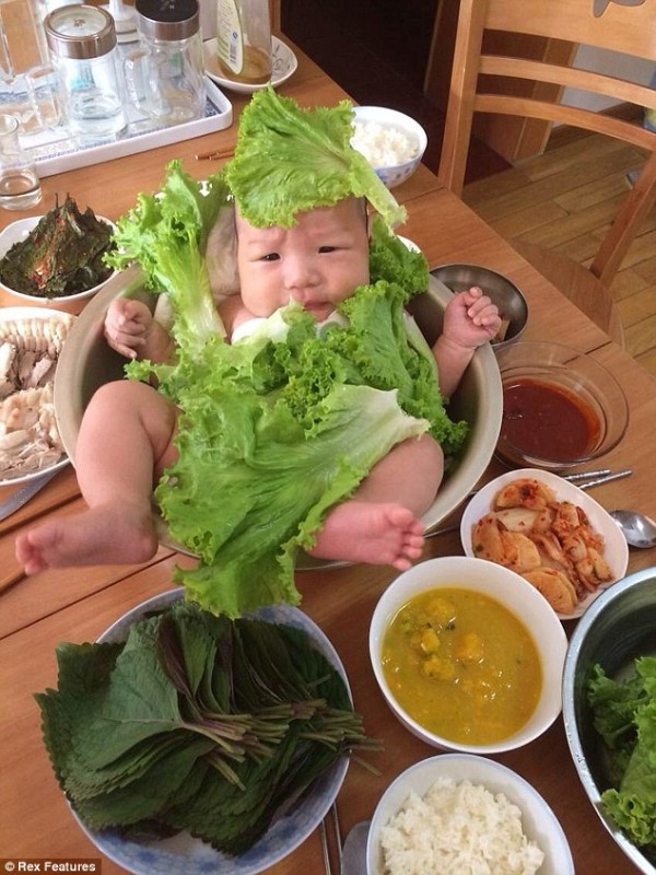 Salad Baby