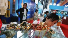 13th China-ASEAN Expo