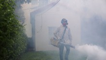 Zika virus, China