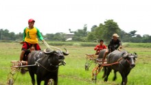 Manila Looks Forward to Chinese Investment in Farm Sector