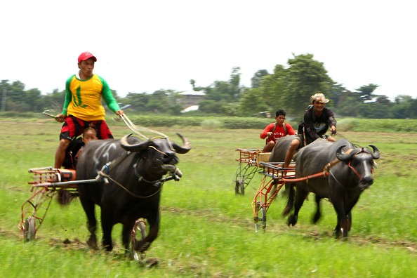 Manila Looks Forward to Chinese Investment in Farm Sector