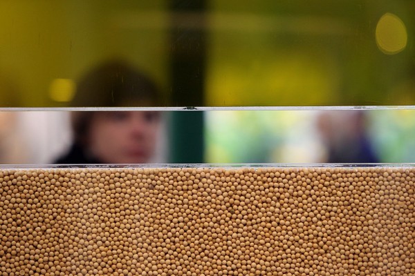A woman walks past displayed soy beans and soy oil during the world organic trade fair BioFach 2011on February 16, 2011 in Nuremberg, Germany.
