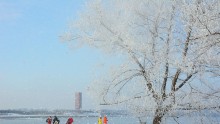 Tourists come to look at the rime scenery on an island along the Songhua River on January 10, 2016 in Jilin City, Jilin Province of China.